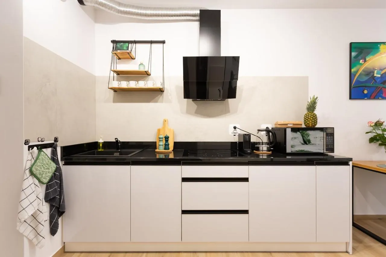 Luxurycity Apartment With Terrace Breslavia