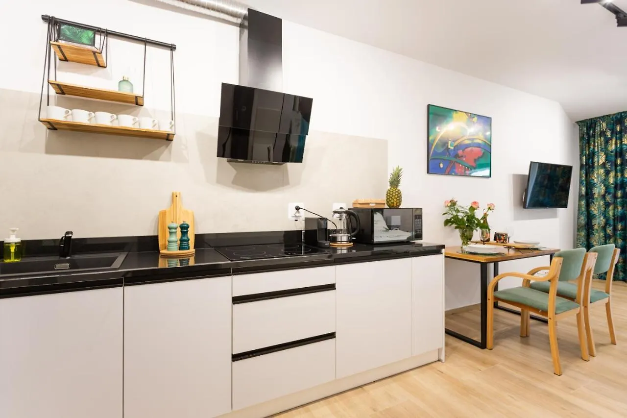 Luxurycity Apartment With Terrace Breslavia Polonia